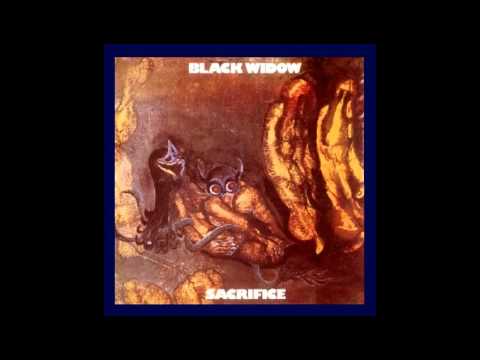 image-What is the scientific name for the black widow?