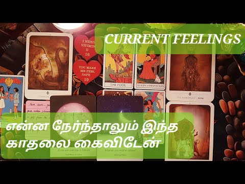 🧿 | CURRENT FEELINGS | No matter what happens, I will not give up this love 💭 #tamiltarot