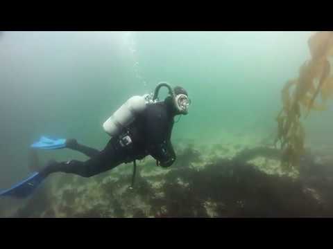 2018 Monterey Vintage Diver Dive In (09/15/18)