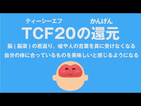 TCF20(ティーシーエフ20)の還元 脳(脳梁)の若返り。嘘や人の言葉を真に受けなくなる。自分の体に合っているものを美味しいと感じるようになる 心理カウンセラー大嶋信頼さんの遺伝子コード