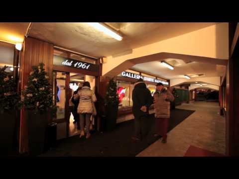 Galleria d'arte Hausammann (50 anni: 1961-2011)