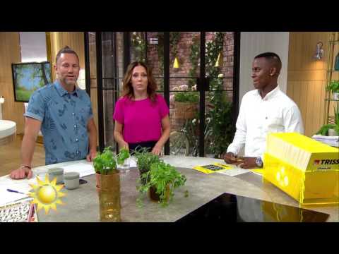 Trissvinnaren: "Ska hjälpa en anhörig som har hamnat lite snett” - Nyhetsmorgon (TV4)