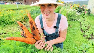 My Favourite Summer Recipe | Fresh From the Garden | Everything But the Kitchen Sink