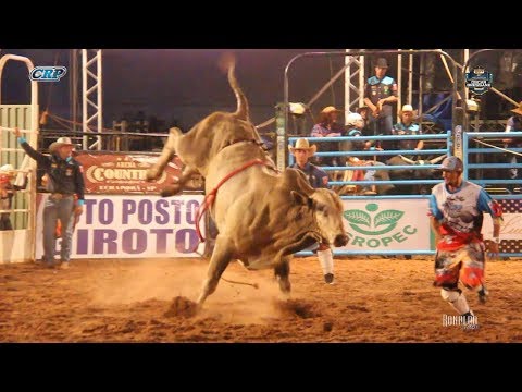DOCE AMARGO (Cia. Tercio Miranda) - Melhor Touro de Oscar Bressane 2018