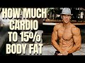 How Much Cardio Until 15% Body Fat | PLAN