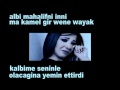 Nancy Ajram Meen Dah Elly Nseik (Turkish Subtitle ...