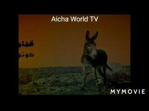 أغنية  الشاب T R A S H كوتوكوتو مع الكلمات lyrics
