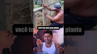 Ideia Genial com Mandioca