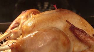 The Food Factor: Turkey Brine