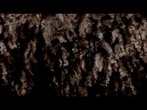 Exvot (ensemble x.y, live concert at SJSS) by Sara Cubarsi