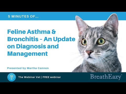 Teaser - Feline Asthma and Bronchitis – An Update on Diagnosis and Management - Martha Cannon