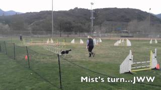 Hob Nob Trace and Mist QQ!