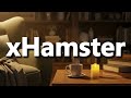 What Does XHamster Means XHamster Meaning Explained