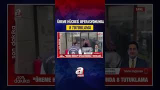 Üreme Hücresi Operasyonunda 8 Tutuklama! | A Haber