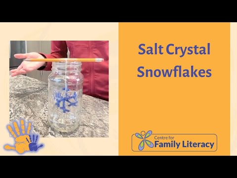 Salt Crystal Snowflakes
