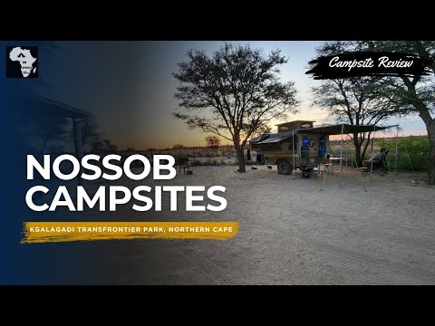 Nossob, Kgalagadi Transfrontier Park. Kalahari  | Campsite Review