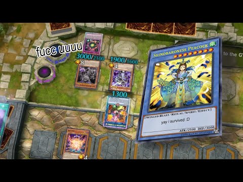 How can I survive after the devastation virus with SHINOBARONESS? Yugioh Master Duel