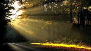 Daniel Avery - Flashlights