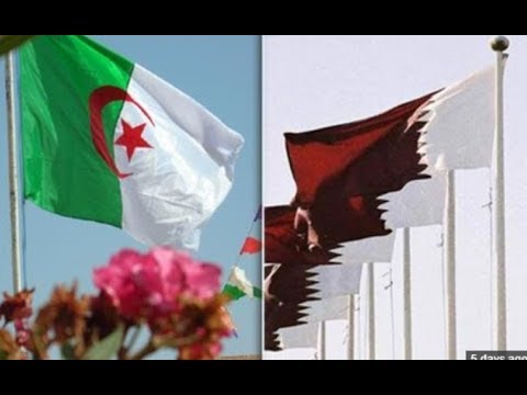 موقف الجزائر من أزمة الخليج إيجابي.. لكن هل هو كاف؟