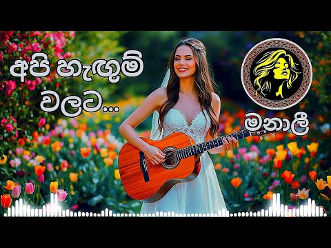 Api Hangum Walata | අපි හැඟුම් වලට  | Mr. Victor Rathnayake | EDM Version by Manali
