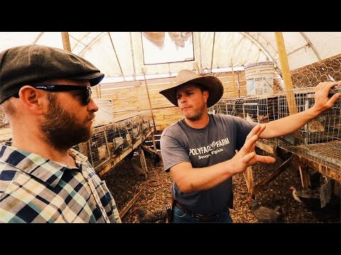 Grow 3,000 LB of Protein (In A GARAGE) Video