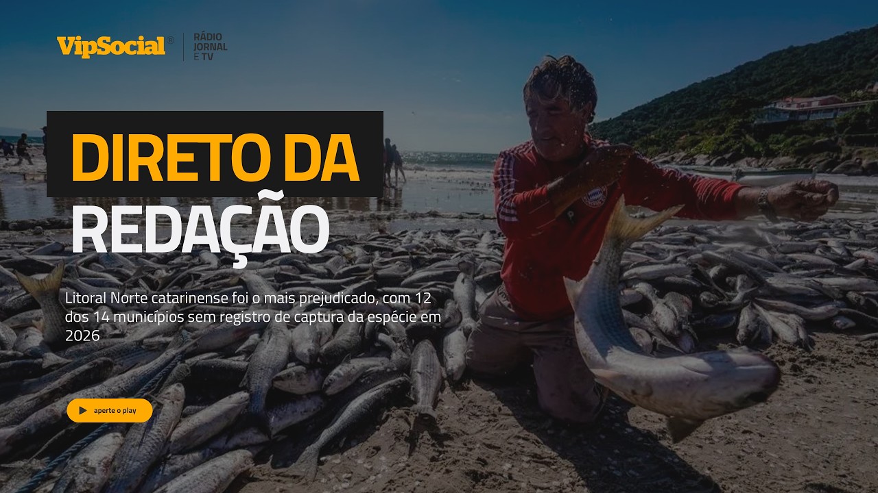 DIRETO DA REDAÇÃO | Governo amplia em 430 toneladas cota de pesca da tainha