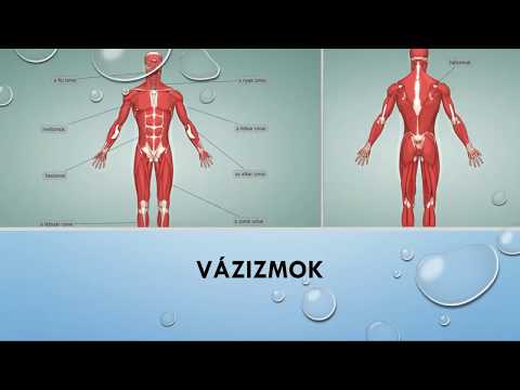 Fitobén gél áttekintés az osteochondrosisról