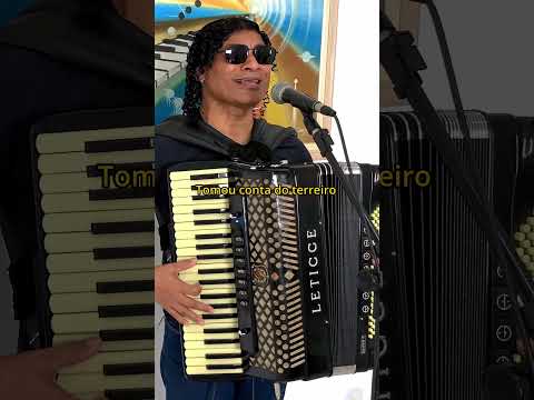 Fogueirinha - Assisão