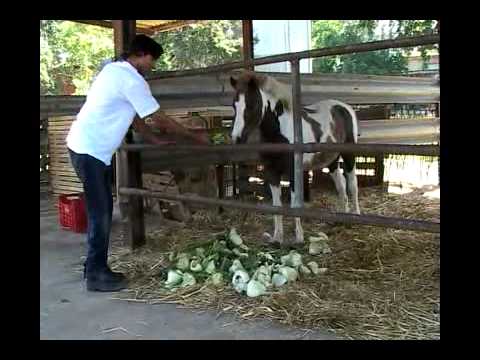BioFattoria Solidale del Circeo, archivio della generatività della Fondazione Don Sturzo