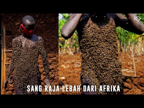 , title : 'Raja Lebah dari Afrika - Ribuan Lebah Menempel pada Tubuhnya Tanpa Sengatan'