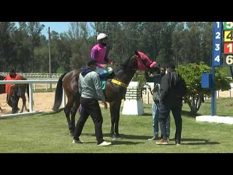 CARRERAS SINT MELO -211007 c01 1° PURO CURDA