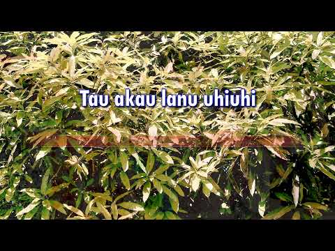 Ala Mai Niue Nae - Fisiutomanogi