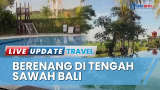 Syahdunya Suasana Desa di D'Tukad, Bisa Lari Pagi Gratis hingga Berenang Dikelilingi Sawah