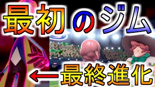 【ポケモン剣盾】一個目のジムで最終進化させた漢の末路