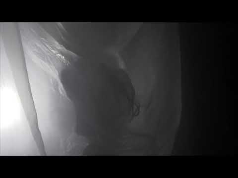 LINGUA IGNOTA