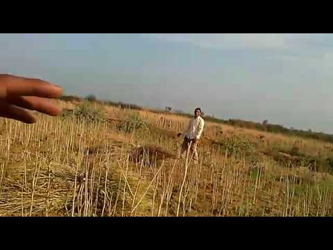 download lagu mp3 mp4 Florica Bhopal, download lagu Florica Bhopal gratis, unduh video klip Florica Bhopal