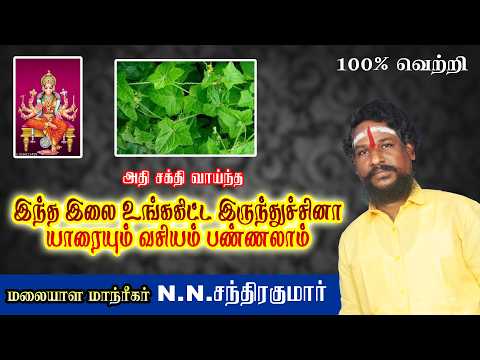இந்த இலை உங்ககிட்ட இருந்துச்சுனா யாரையும் வசியம் பண்ணலாம்