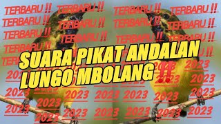 Download lagu Mp3 pikat andalan‼️Burung dalam celana pun akan lengket👍 mp3 Download lagu Mp3 pikat andalan‼️Burung dalam celana pun akan lengket👍 mp3