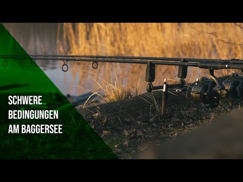 Schwere Bedingungen am Baggersee// Karpfenangeln 2021