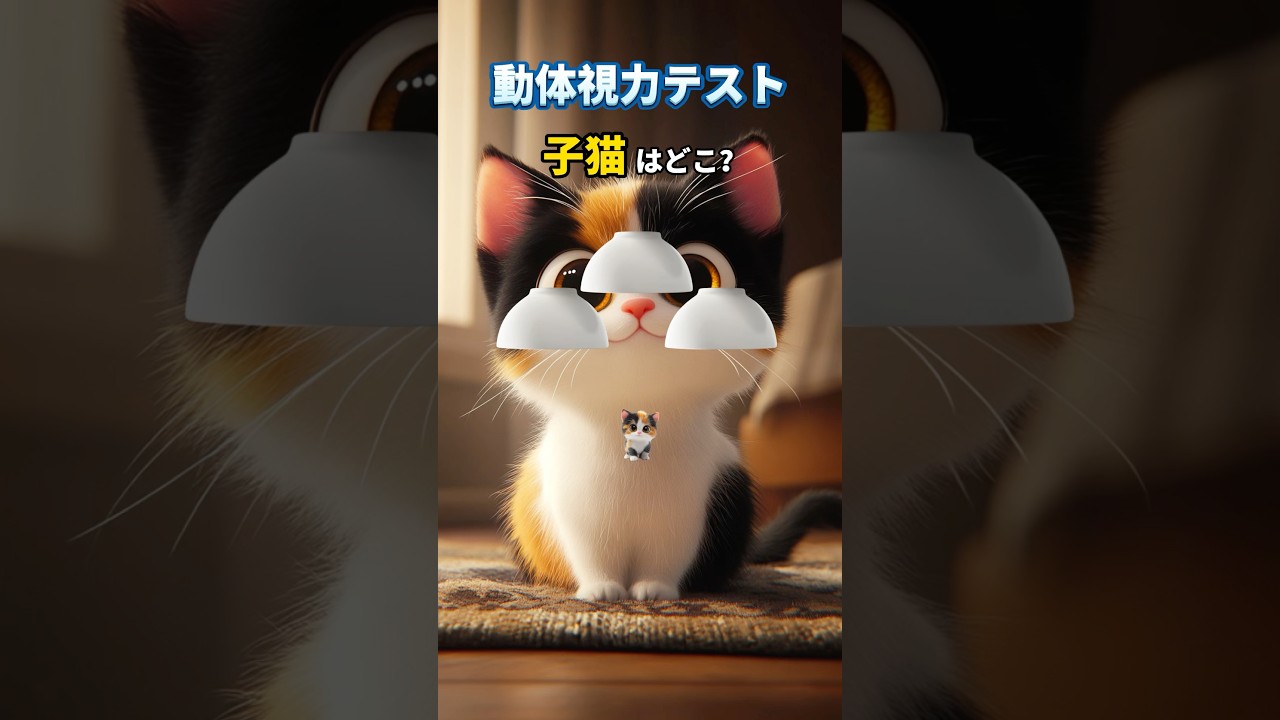 子猫はどこ？ #クイズ #猫  #ミニゲーム