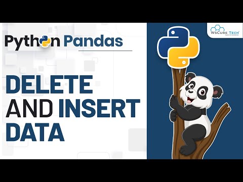 What is Data Analysis Complete Introduction Python Pandas Tutorial