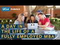 A Day In The Life Of A Fully Employed MBA