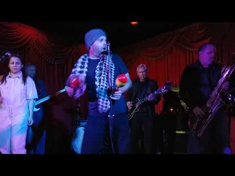 James Williamson and The Pink Hearts - "This Garden Lies"