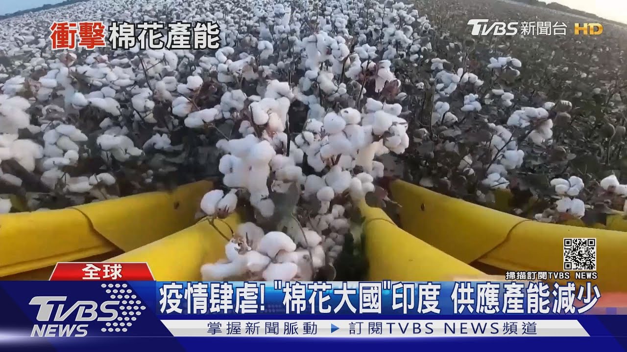 印度疫情鬧得厲害！「產棉大國」供應量減少　紡織股後勢看漲