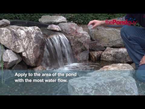 The Pond Guy® Barley Extract