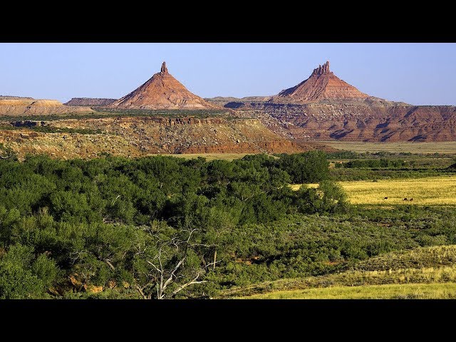 Video pronuncia di Ute Tribe in Inglese