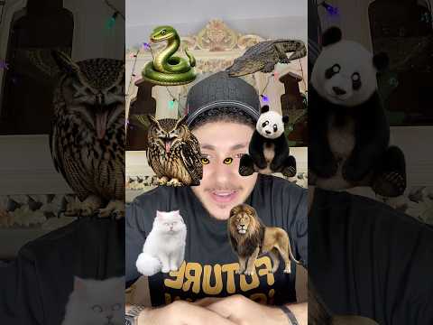 اختار العيون المناسبة لكل حيوان👀😂😂