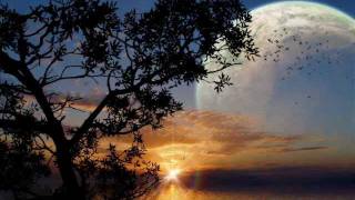 Soulman - Drifting In Emotions