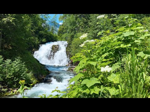 Exploring the Magic of Fairy Creek Falls | Fernie, British Columbia, Canada