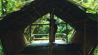 Download lagu Solo Bushcaft: Continue Build Bushcaft house on giant tree. Set fish traps and cook - P.3 mp3 Download lagu Solo Bushcaft: Continue Build Bushcaft house on giant tree. Set fish traps and cook - P.3 mp3